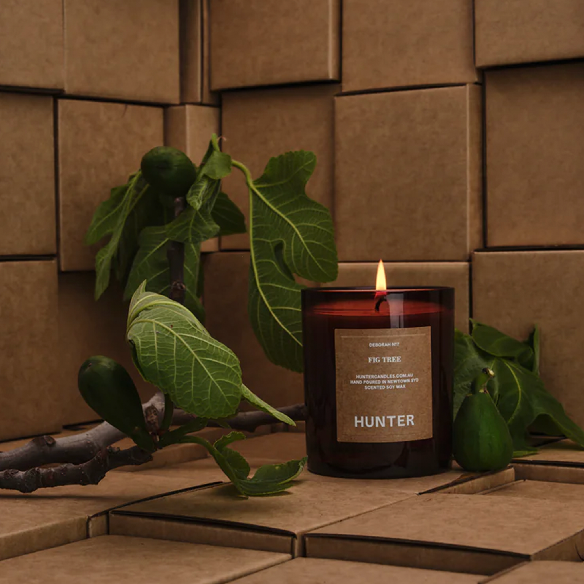 SOY CANDLE - FIGTREE BY HUNTER CANDLES