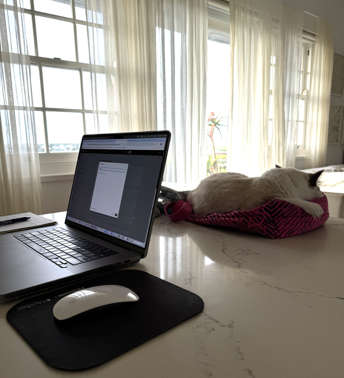 WFH on hairCAPsule.com website